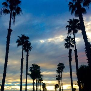 Meet your Posher, Shelly